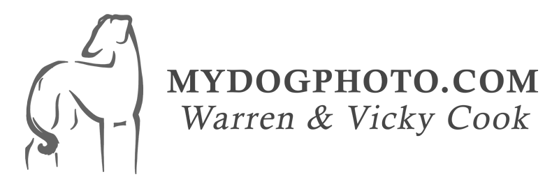 COOK Photography | Dog Show Photography since 1969